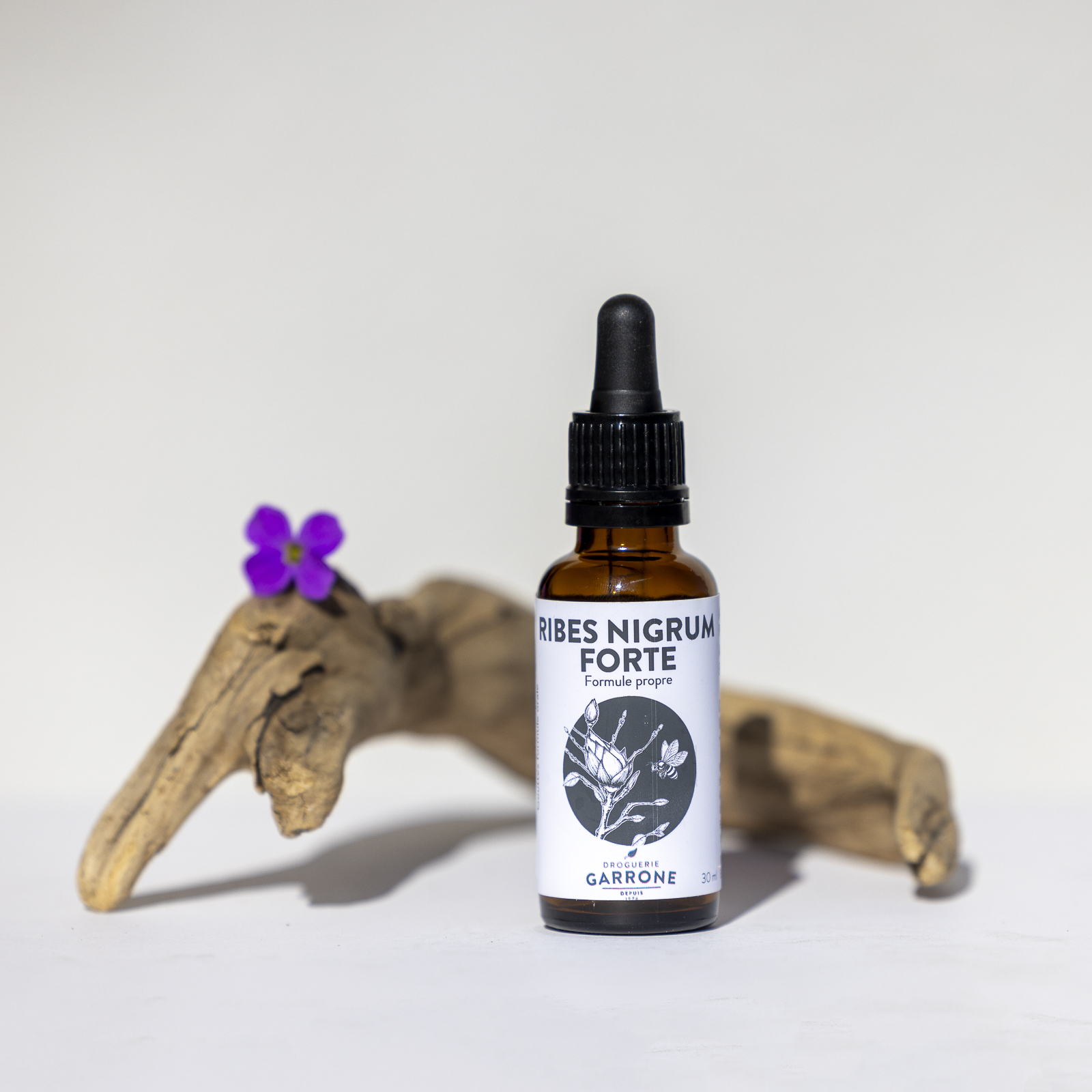 Gemmo Macérât Ribes nigrum Forte, 30ml