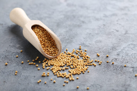 Graines de moutarde jaune ou noire, dès 100 gr