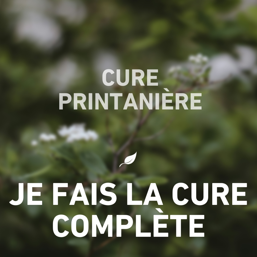 Cure Printanière, toute la cure