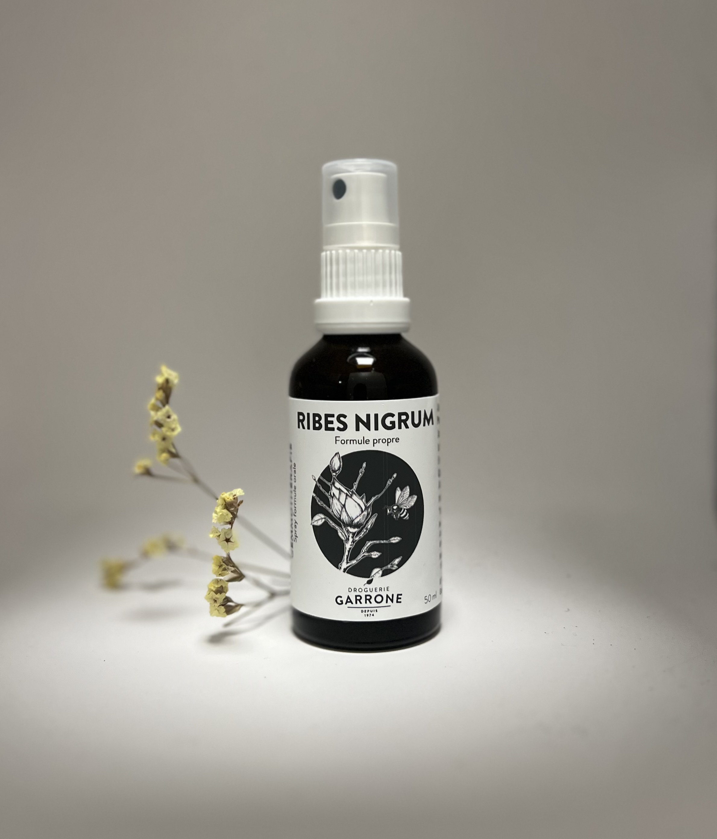 Gemmothérapie Ribes nigrum spray, 50ml