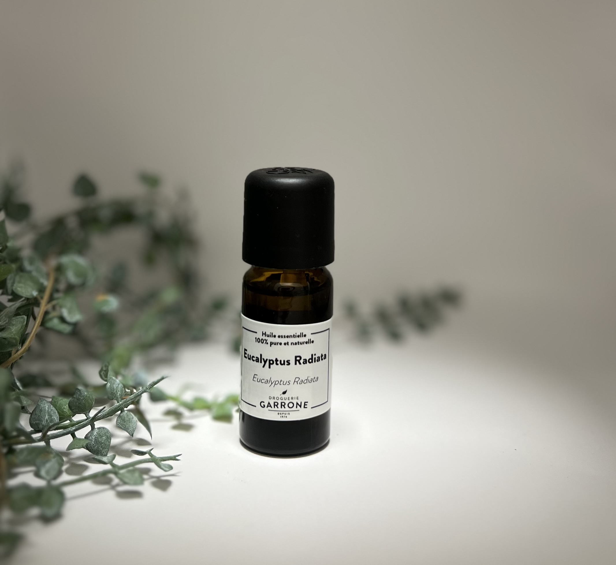 Eucalyptus radiata Huile essentielle, 10ml