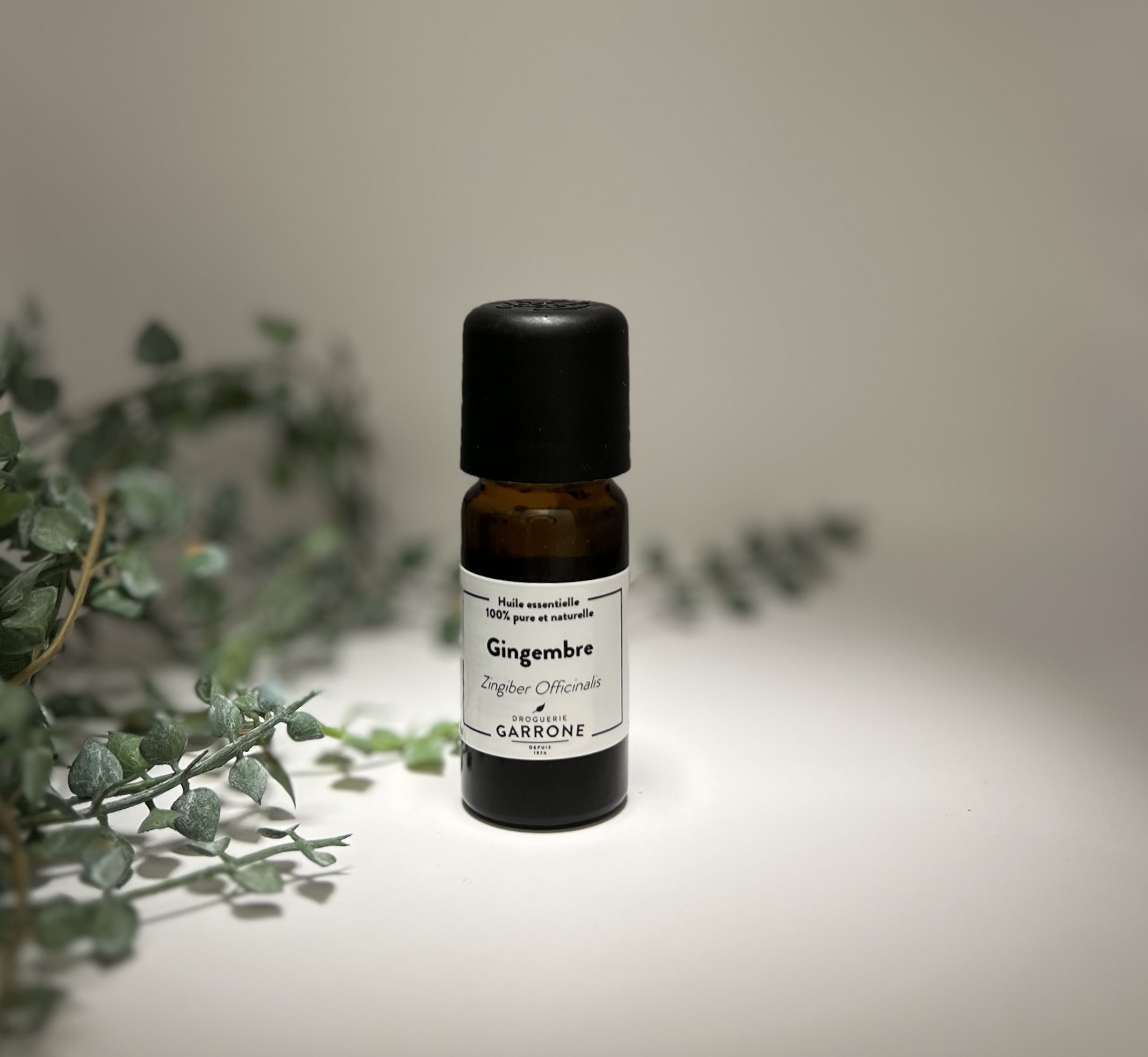 Gingembre Huile essentielle, 10ml