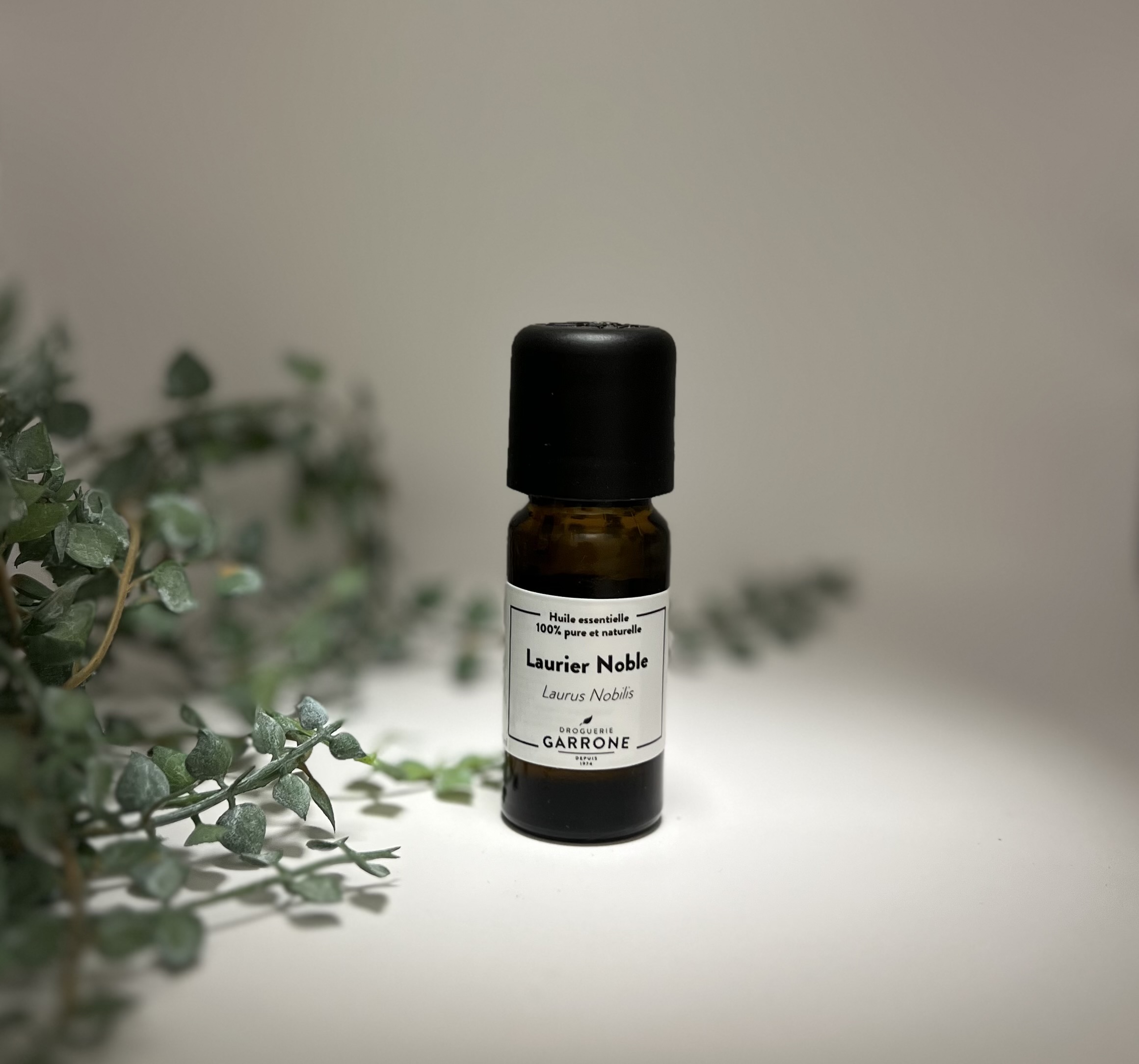Laurier noble Huile essentielle, 10ml