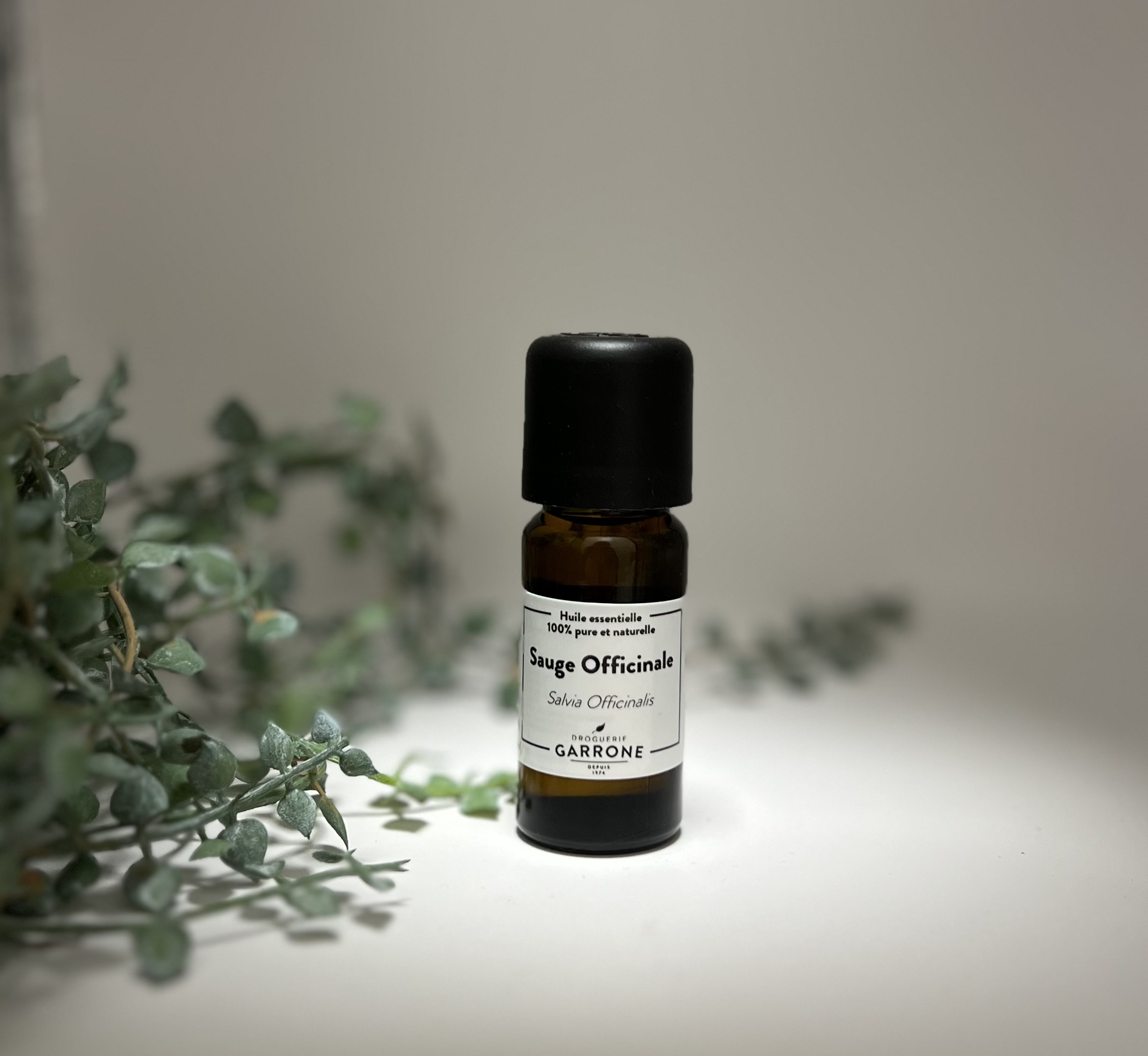 Sauge officinale Huile essentielle, 10ml