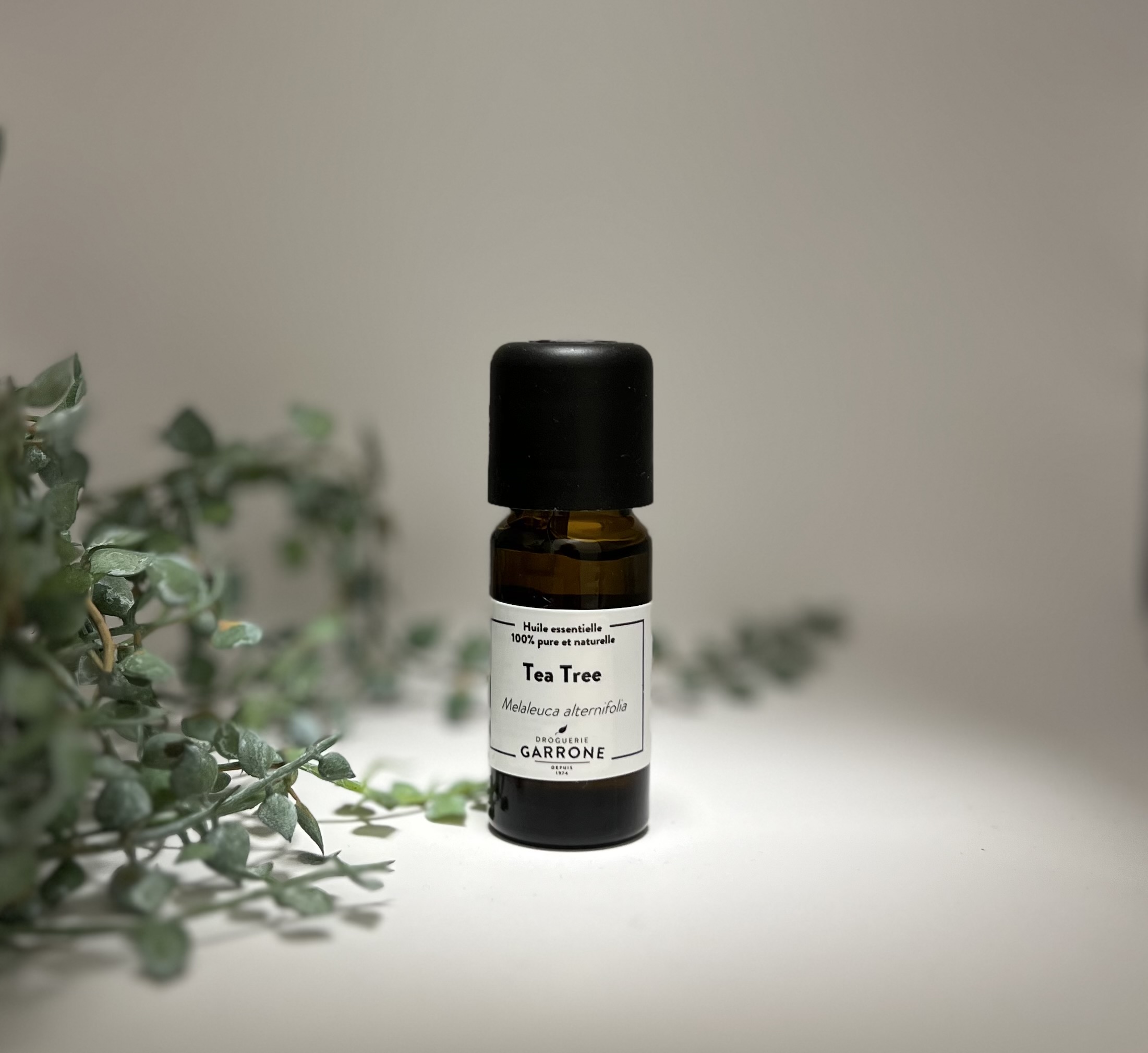Huile essentielle Tea tree, 10ml