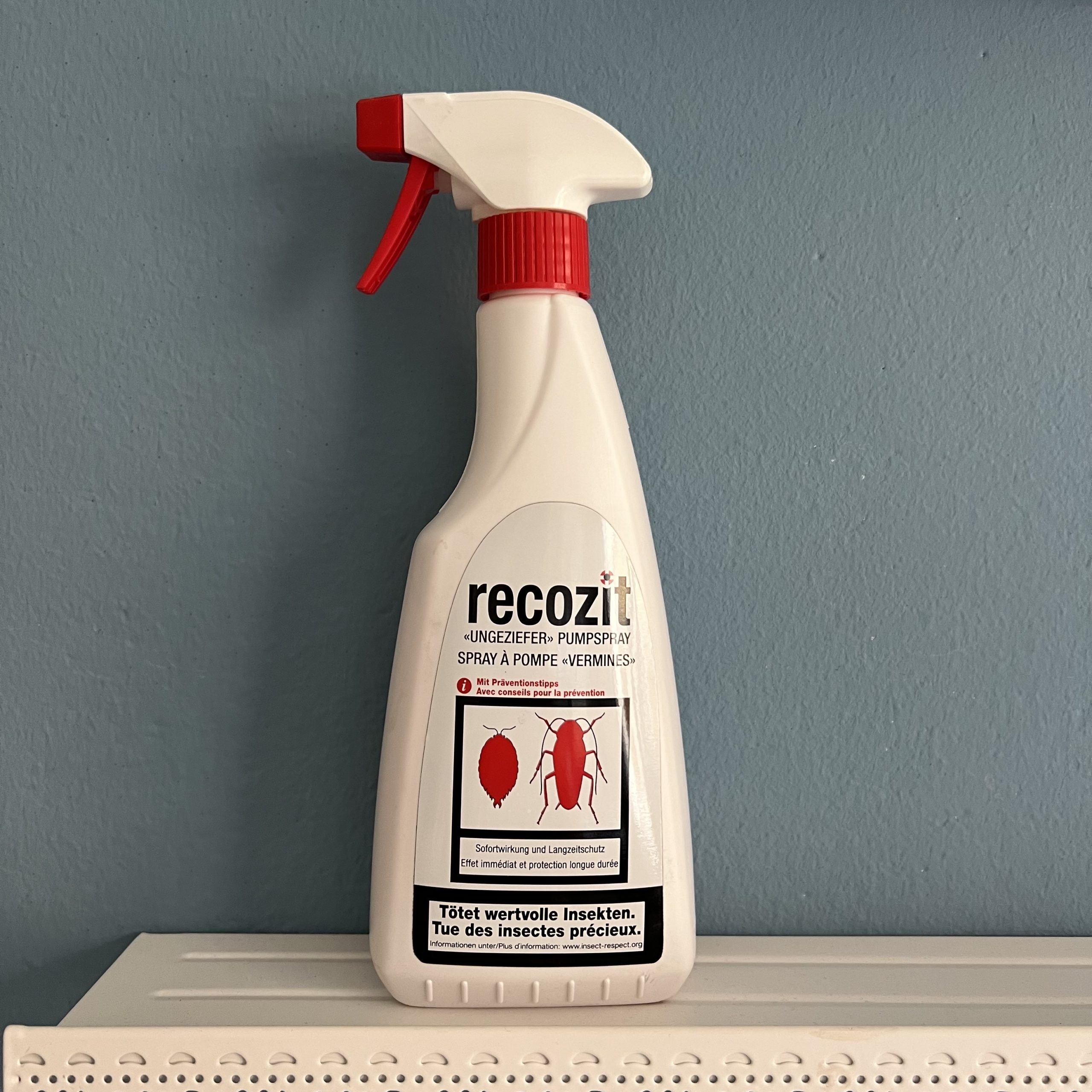 Recozit Lutte contre les Vermines : Spray à Pompe Vermines ou Spray Vermines ou Appât Vermines – Image 2