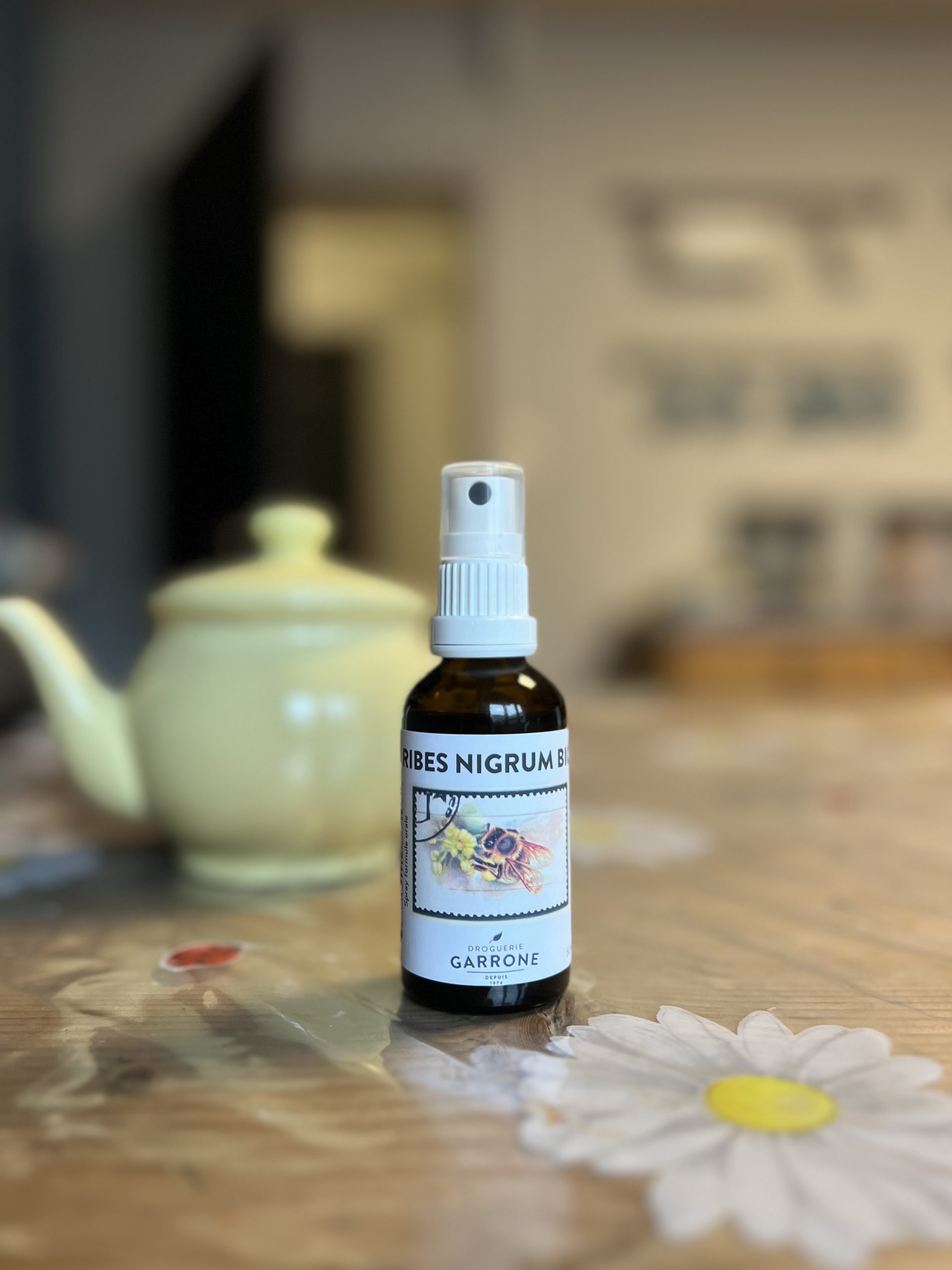 Gemmothérapie Ribes nigrum spray, 50ml – Image 2