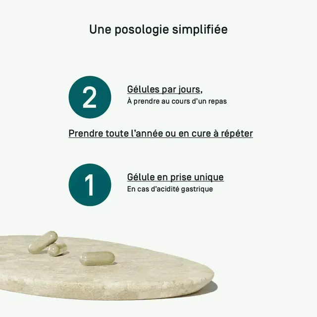 Algorigin Lithotamn, 50 gélules – Image 2