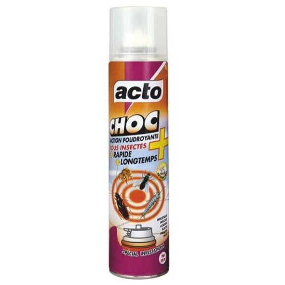 Aérosol Action Foudroyante tous insectes