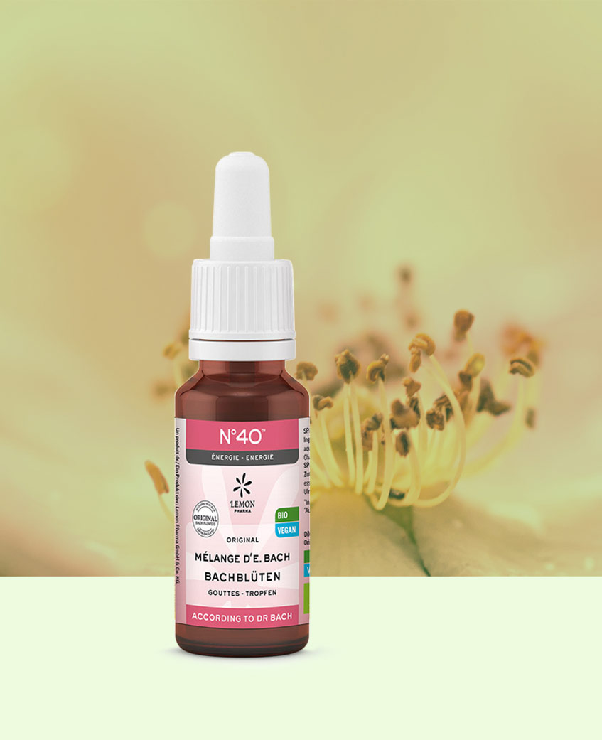 LEMON PHARMA, Fleurs de Bach N° 40, Energie 20ml