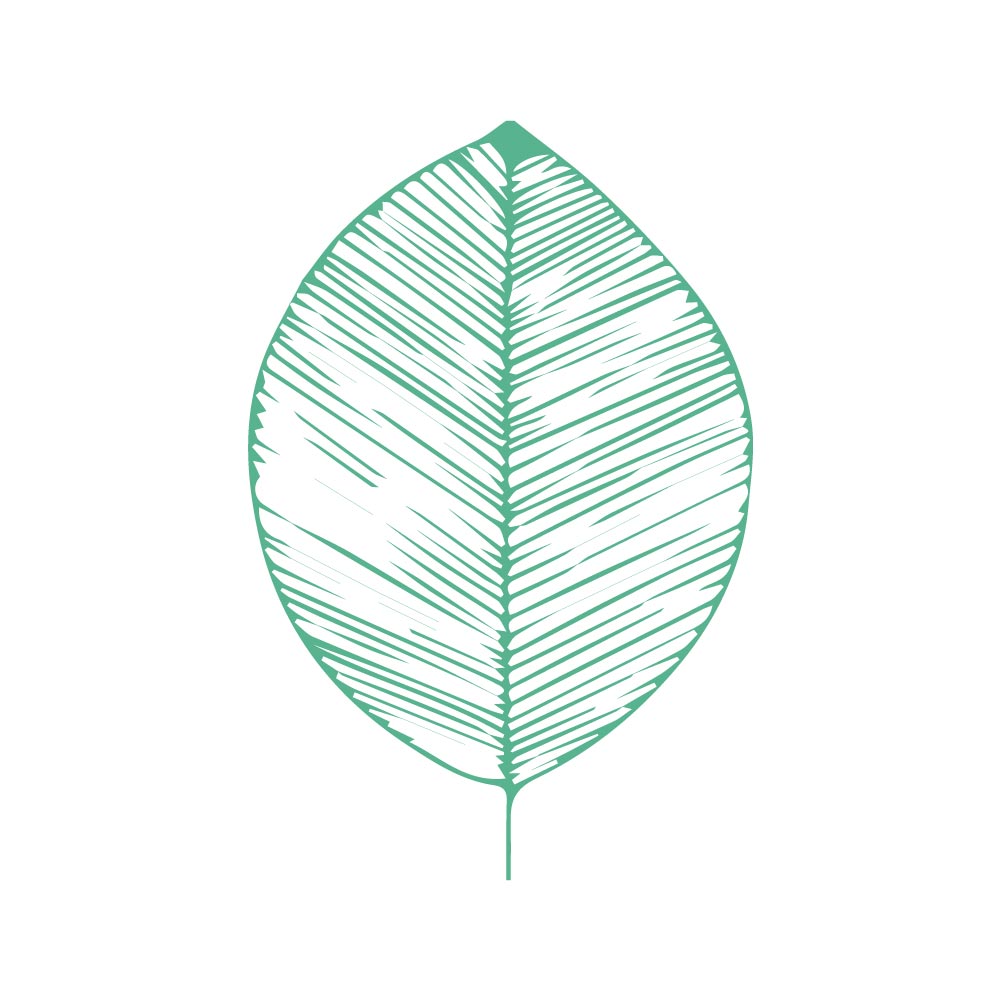 Acide malique alimentaire, 250gr ou 500gr