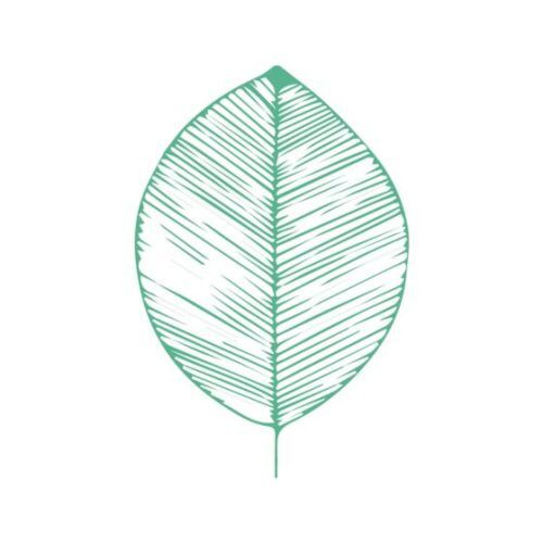 Mélange Aroma Transit, 200 ml