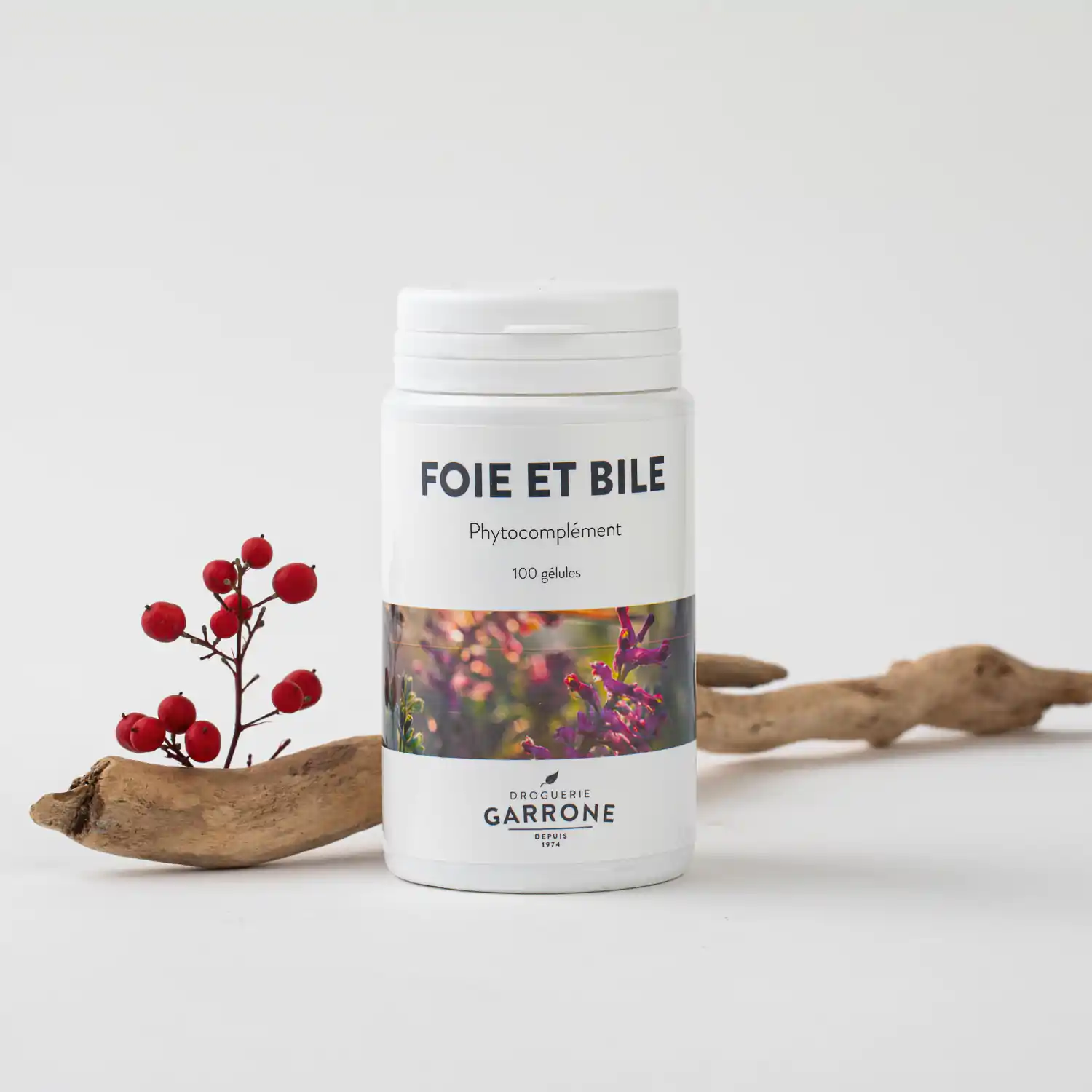 Foie et Bile, 100 gélules