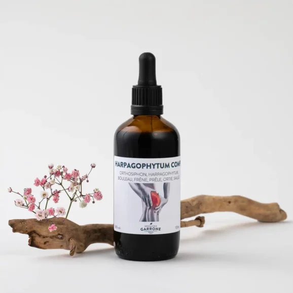 Gouttes Confort articulaire, teintures-mères, 100ml