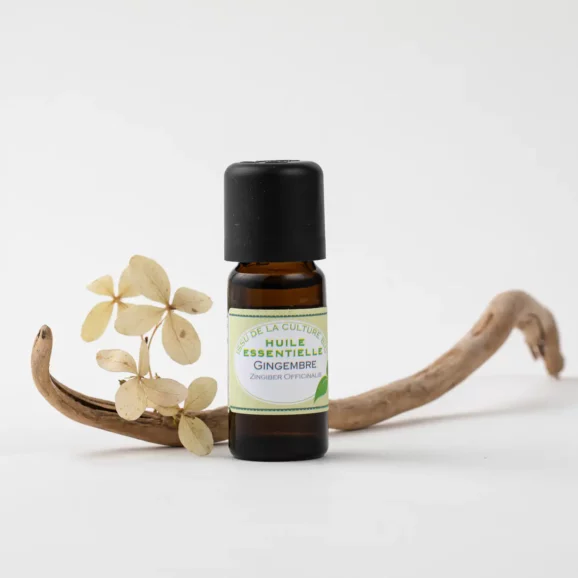 Gingembre Huile essentielle Bio, 10ml