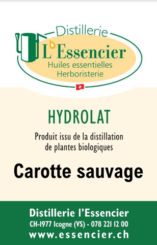 Hydrolat de Carotte sauvage L'Essencier, 200 ml