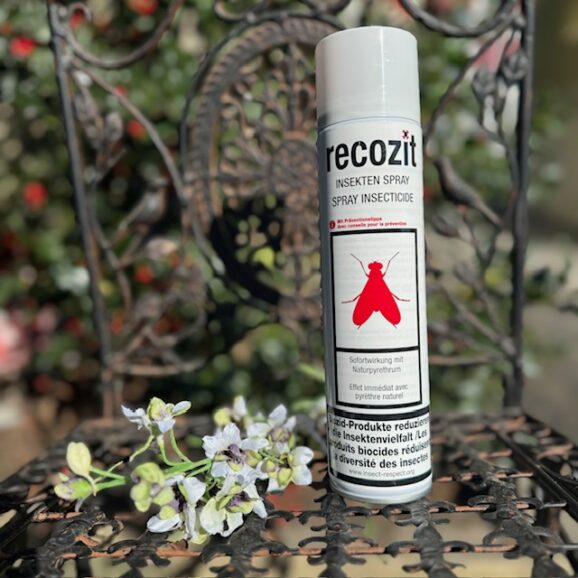 Recozit, Spray Insecticide 400ml