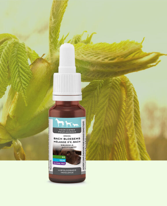 LEMON PHARMA, Fleurs de Bach Animaux, Déprime, 20ml