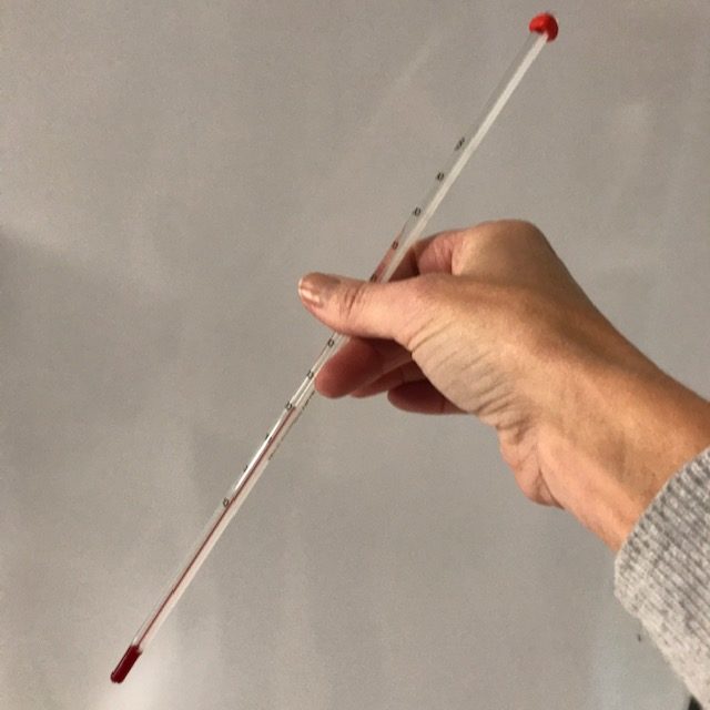 Thermomètre à immersion, de 10°C à 100°C