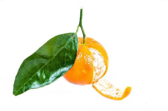 Mandarine verte Huile essentielle Bio, 10ml – Image 2