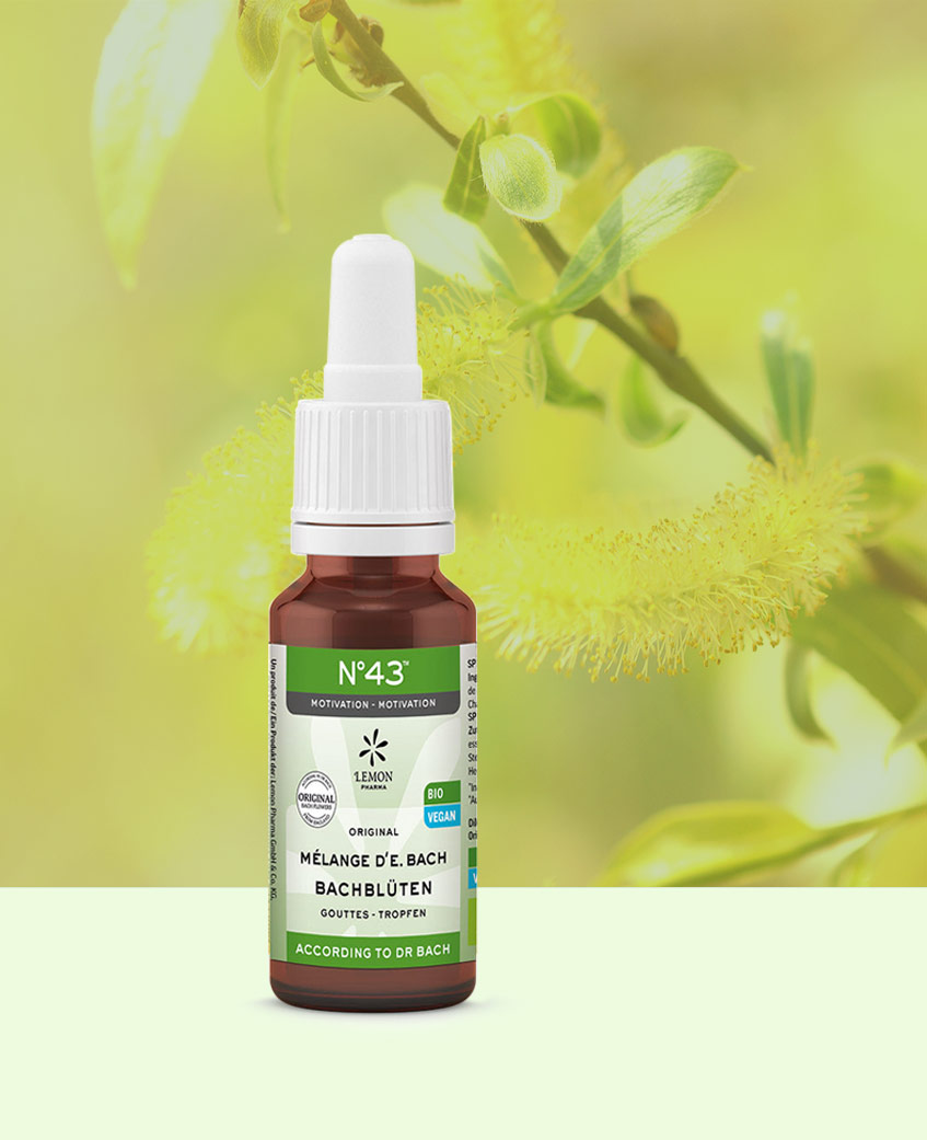 LEMON PHARMA, Fleurs de Bach N° 43, Motivation, 20ml