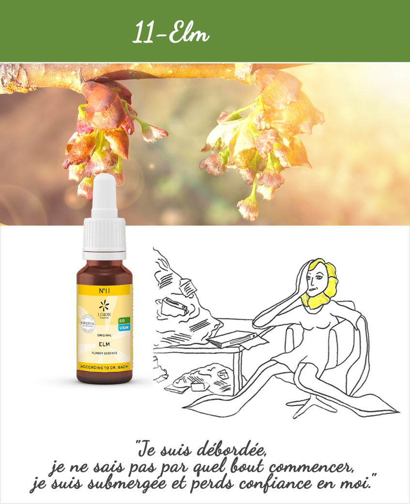 LEMON PHARMA, Fleurs de Bach N°11 Elm 20ml