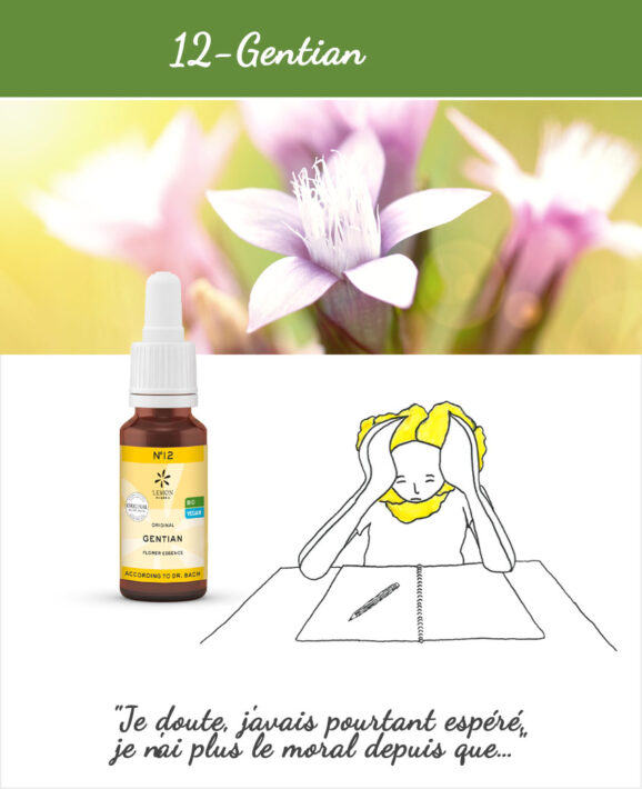 LEMON PHARMA, Fleurs de Bach N°12 : Gentian 20ml