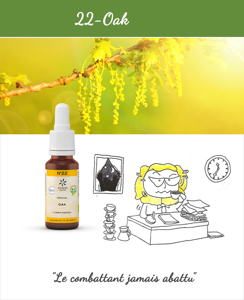 LEMON PHARMA, Fleurs de Bach N°22 : Oak 20ml