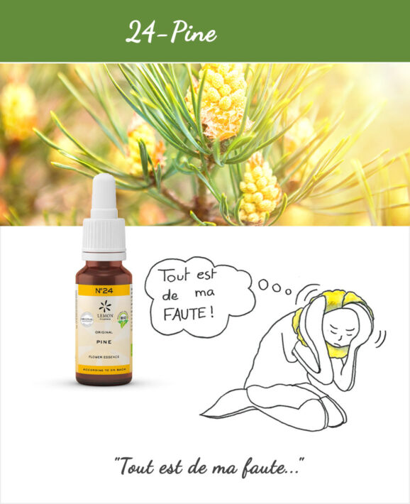 LEMON PHARMA, Fleurs de Bach N°24 : Pine 20ml