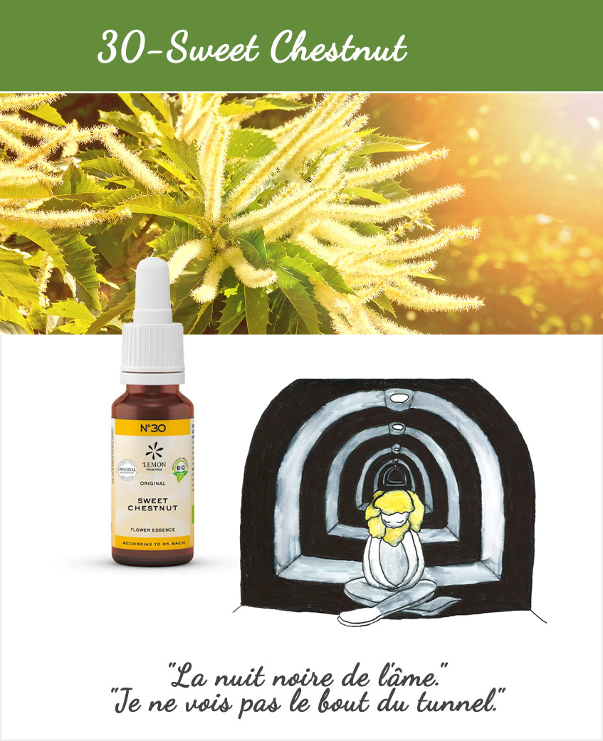 LEMON PHARMA, Fleurs de Bach N°30 Sweet Chestnut 20ml