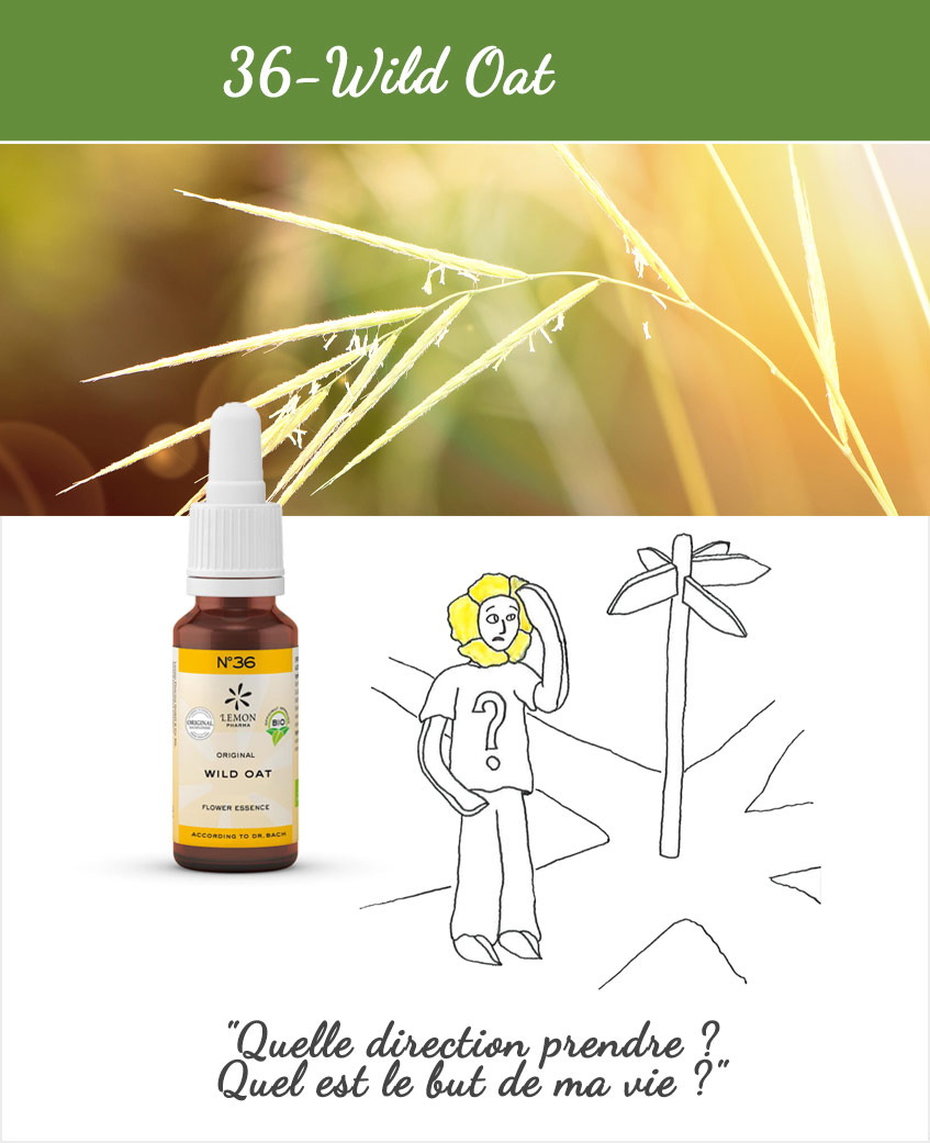 LEMON PHARMA, Fleurs de Bach N°36 : Wild Oat 20ml