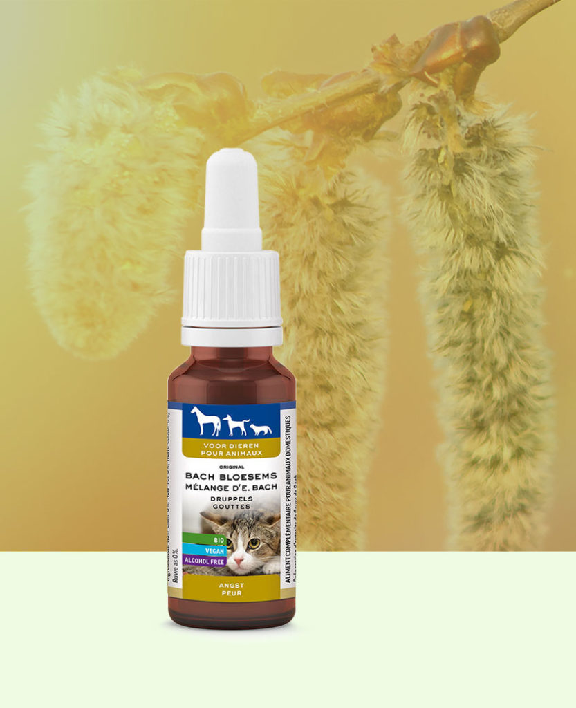 LEMON PHARMA, Fleurs de Bach Animaux, Peur, 20ml