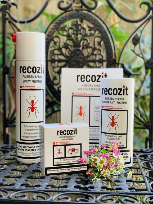 Recozit Lutte contre les Fourmis: Spray ou Poudre ou Gobe-fourmis (2x)