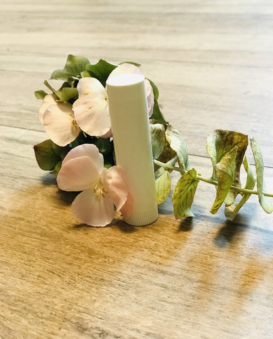 Stick baume à lèvres en PP (polypropylène) blanc, vide