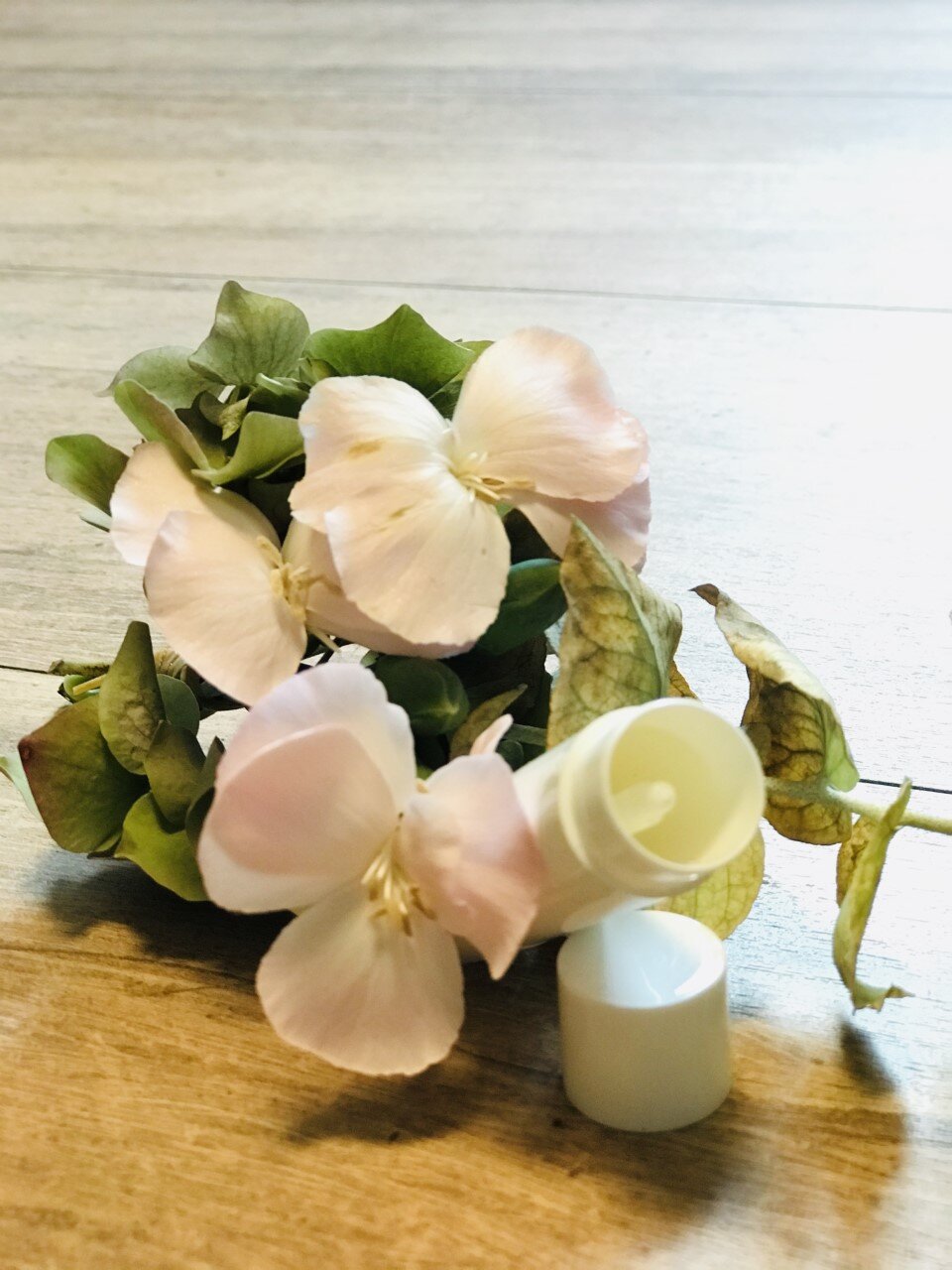 Stick baume à lèvres en PP (polypropylène) blanc, vide – Image 2