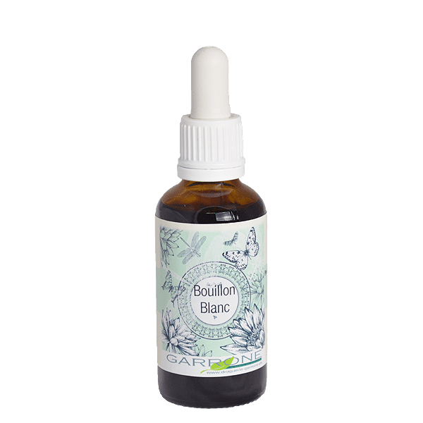 Bouillon Blanc, teinture-mère, 50ml